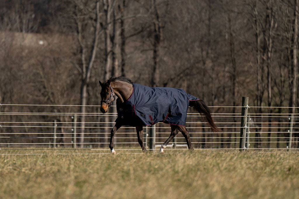 TuffRider Ripstop Standard Neck LightWeight Turnout Blanket with 100 GSM Fill