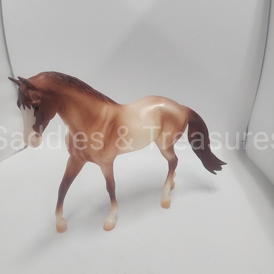 Model