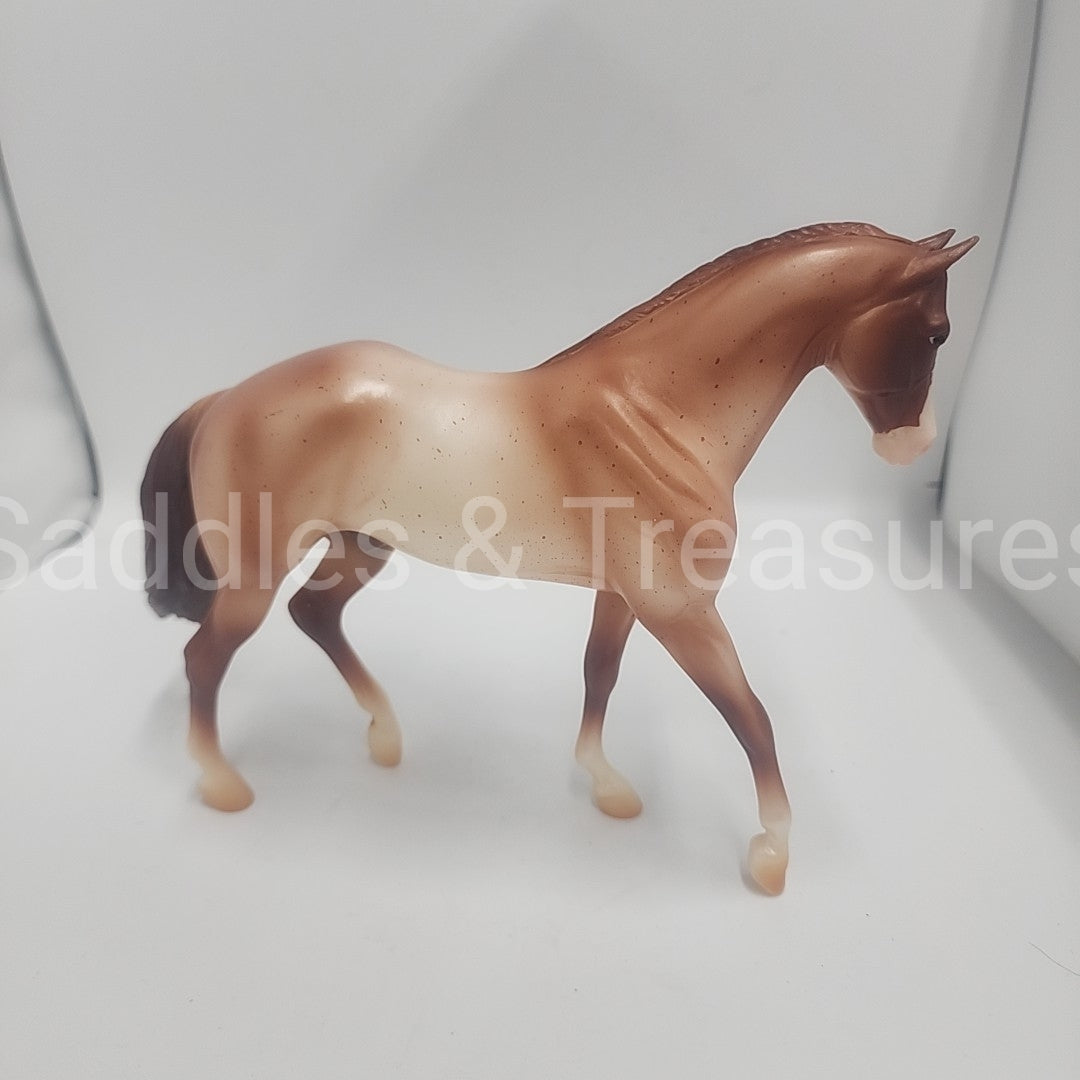 Model