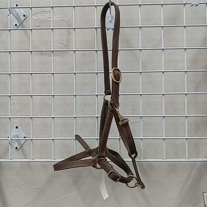 Leather Halter