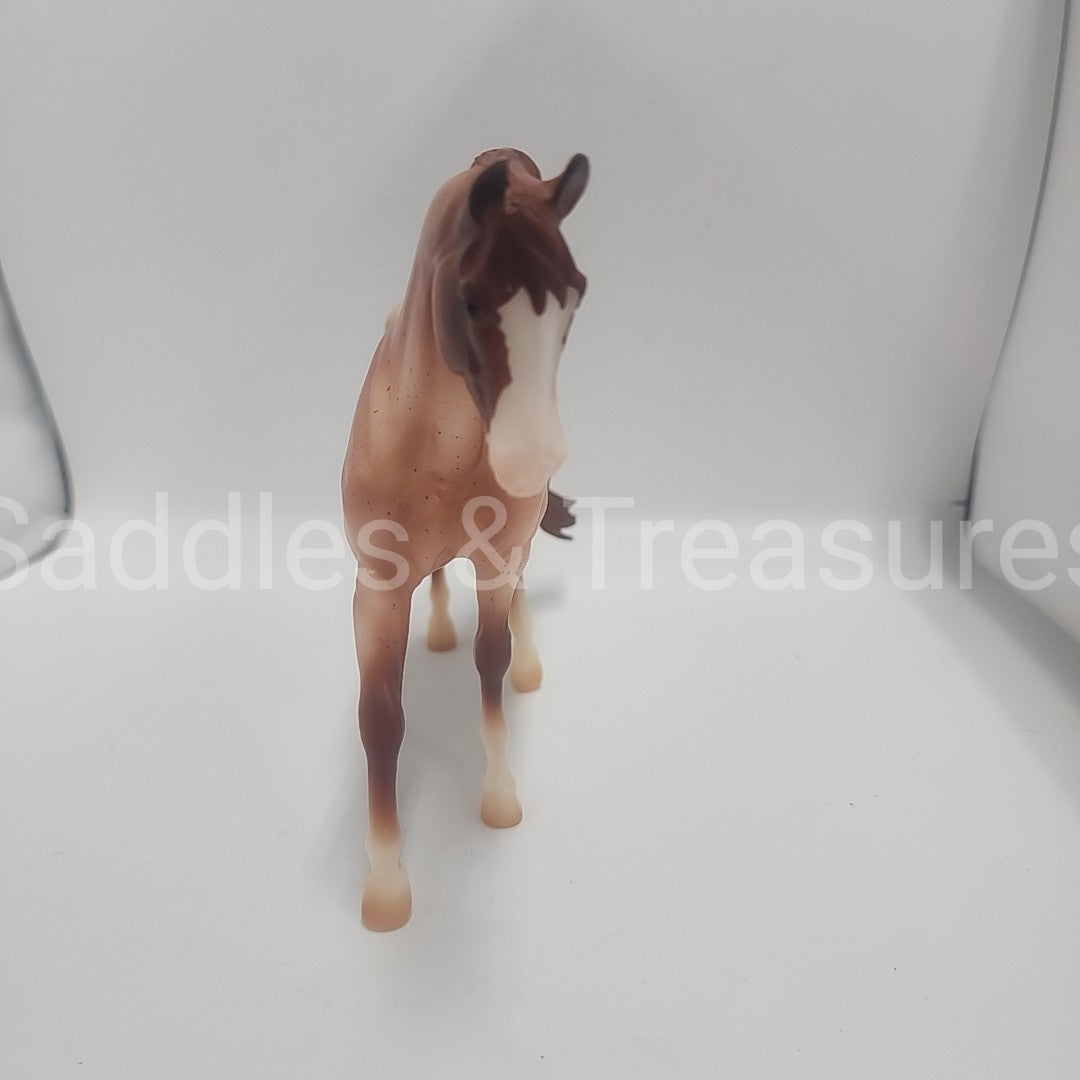 Model