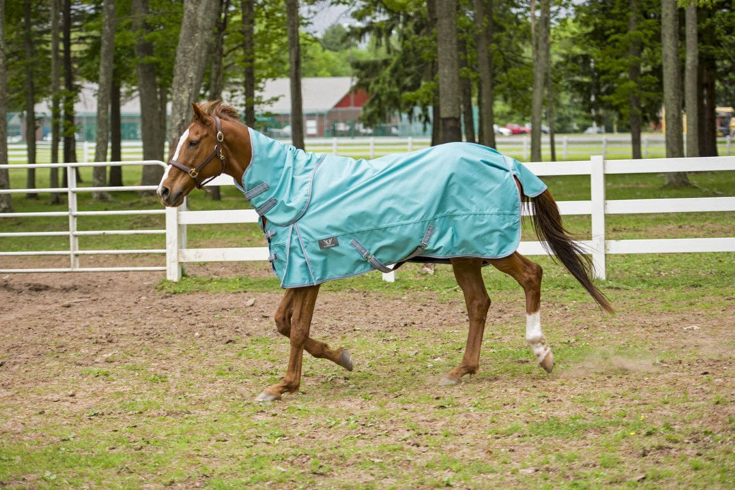 TuffRider 1200 D Comfy Detachable Neck Turnout Sheet