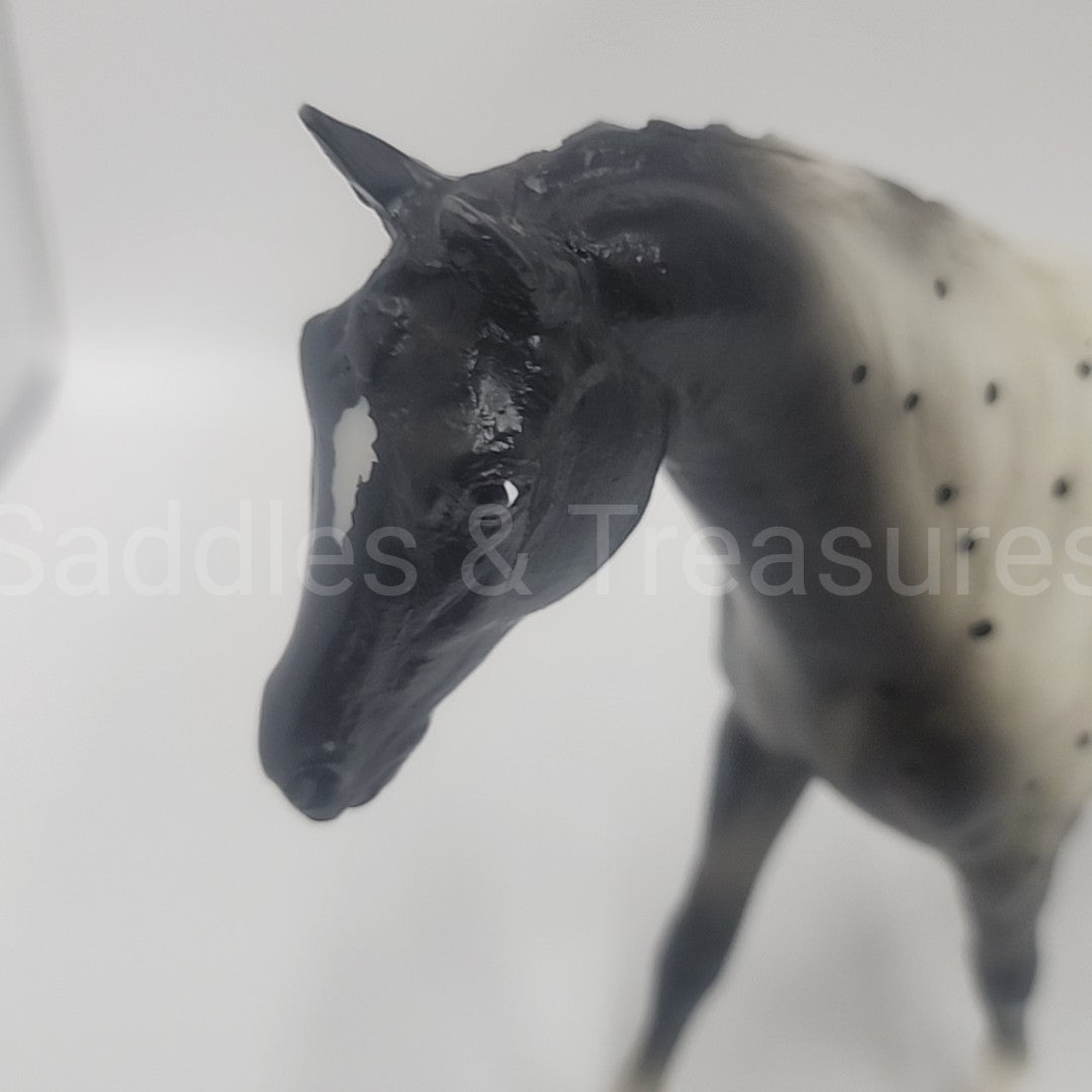 Model