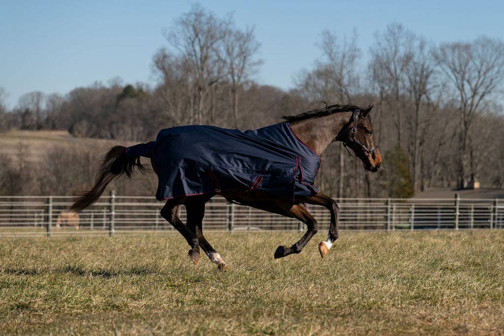 TuffRider Ripstop Standard Neck LightWeight Turnout Blanket with 100 GSM Fill